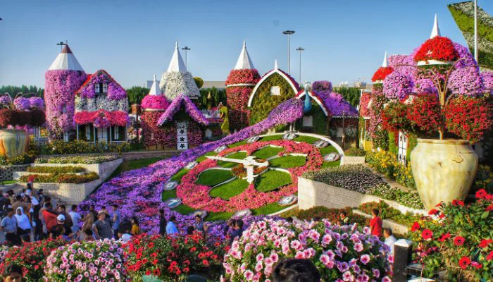 Dubai Miracle Garden - Places to visit in dubai